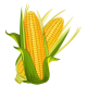 Maíz Maíz